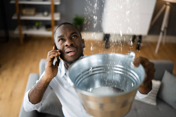 Best Water damage cleanup near me  in Ancient Oaks, PA