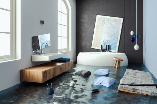 Best Professional water damage repair  in Ancient Oaks, PA
