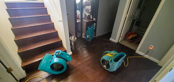 Best Ceiling water damage repair  in Ancient Oaks, PA