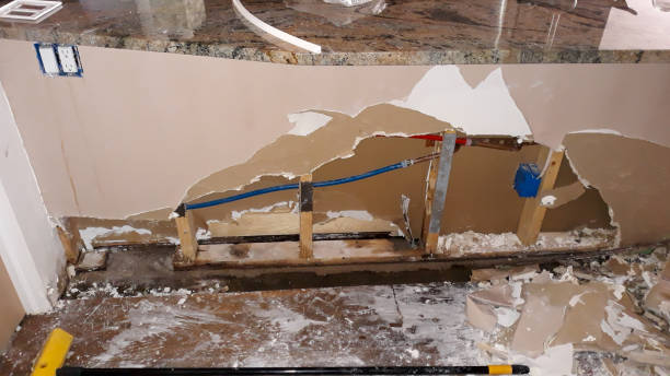 Best Mold removal after water damage  in Ancient Oaks, PA