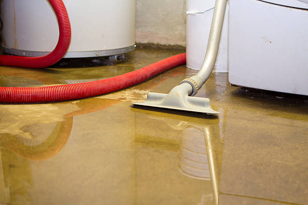 Best Water damage repair service  in Ancient Oaks, PA