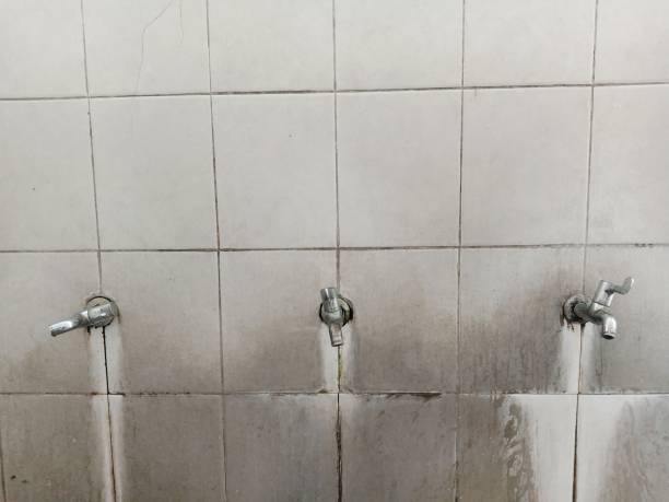 Best Carpet water damage restoration  in Ancient Oaks, PA