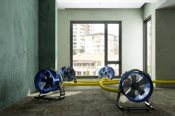 Best Basement water damage restoration  in Ancient Oaks, PA